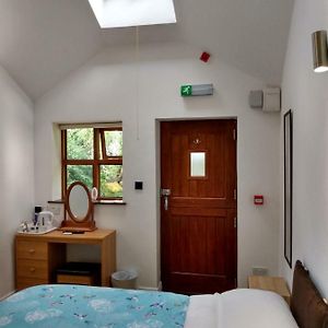 King Room Garden View